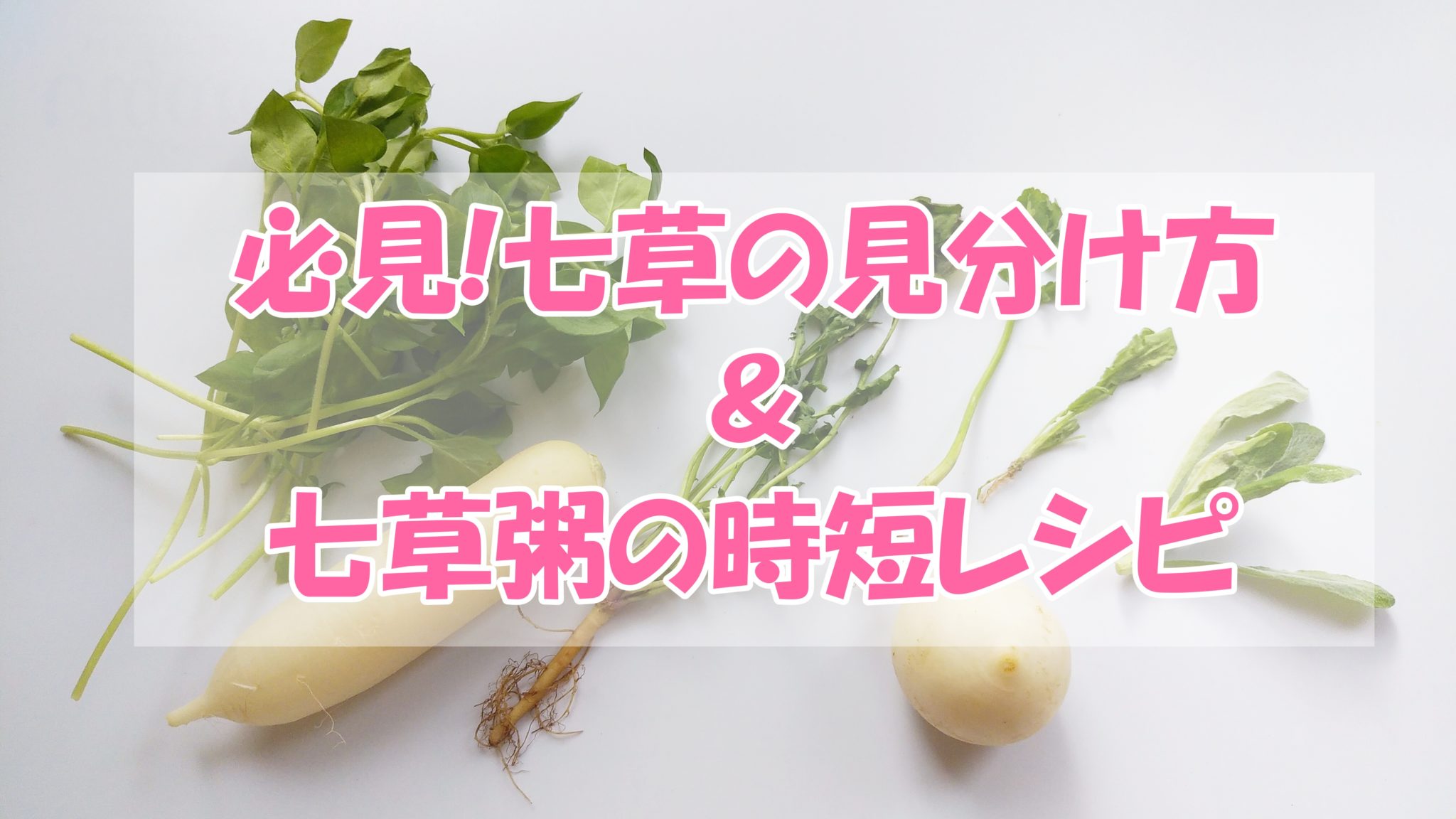 【必見】七草の見分け方|七草粥の時短レシピもご紹介! | 管理栄養士&転妻ライター☆ゆみこblog